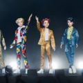 BTS Dolls